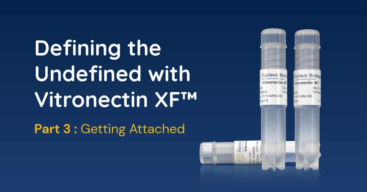 Defining-the-Undefined-with-Vitronectin-XF.png