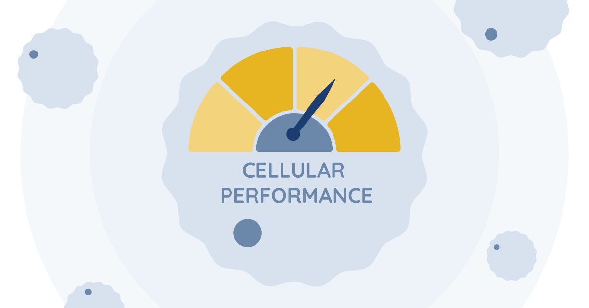cell performance