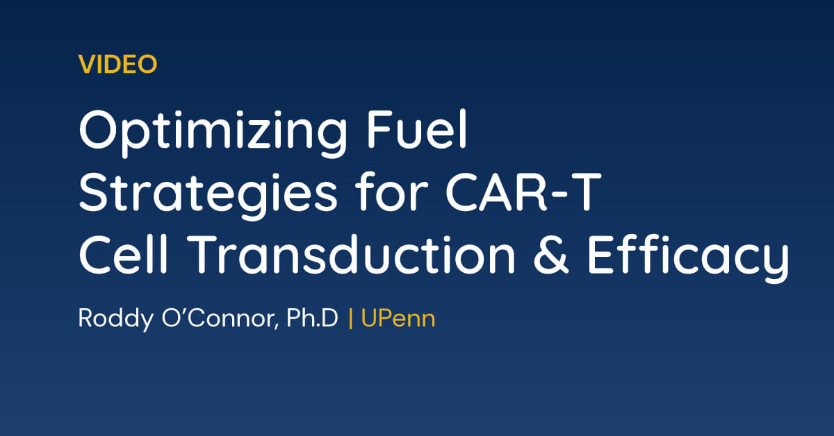 Optimizing-Fuel-Strategies-for-CAR-T-Cell-Transduction-Efficacy