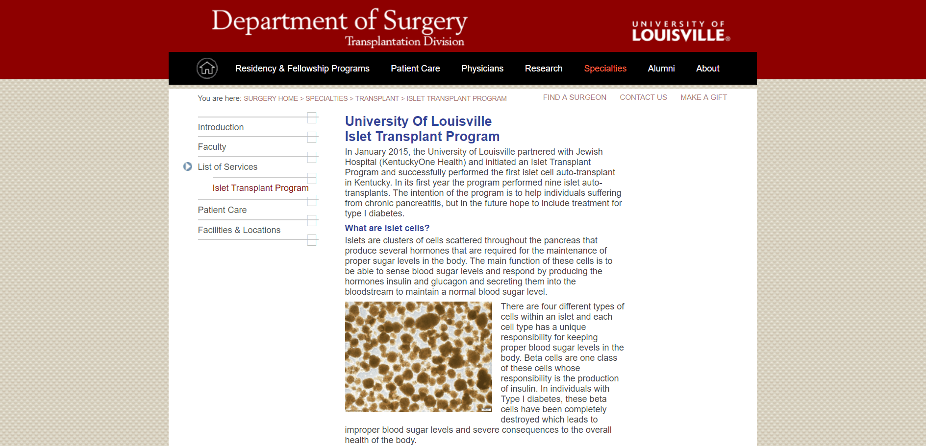 University of Louisville Islet Transplant Program, Department of Surgery