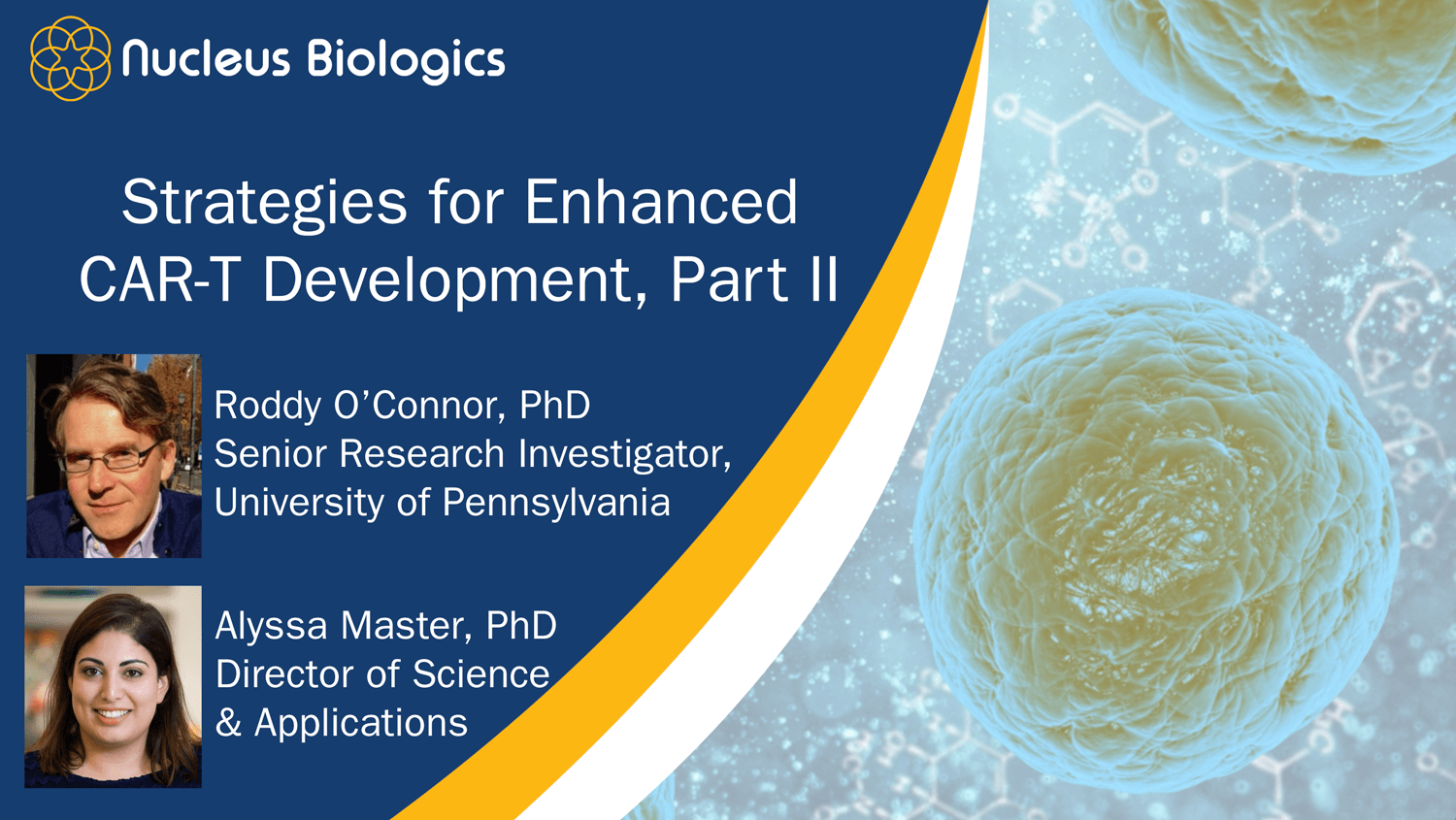 T cell transduction efficiency webinar
