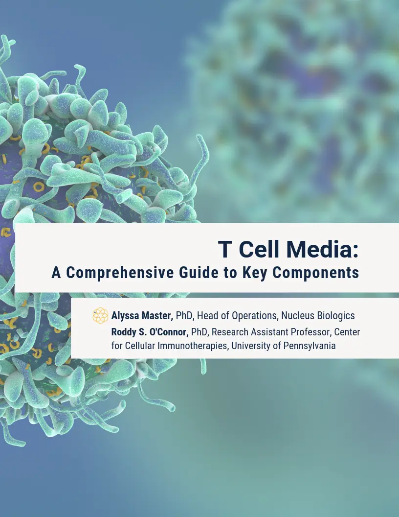 T-Cell Media A Comprehensive Guide to Key Components